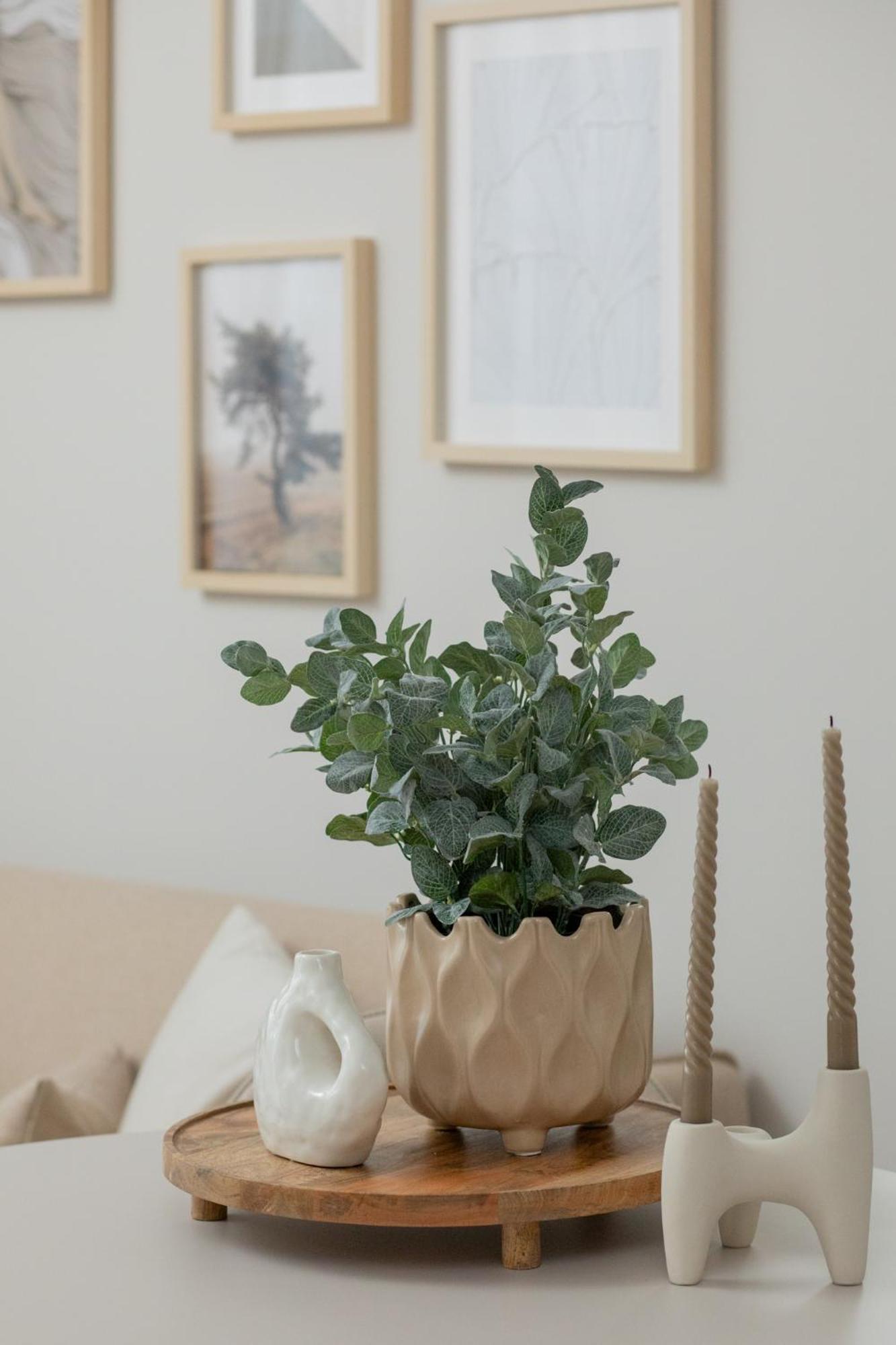Ts Gold New Town Apartment & Free Private Parking Szczecin Bagian luar foto